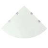 Maison Exclusive - Étagères d'angle 2 pcs et supports chromés Verre Blanc 45x45 cm