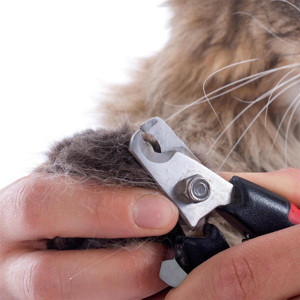Dog Nail Clippers, Pet Nail Clippers, Dog Toes Cutter Grooming Tools With Nail File