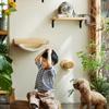 Cat Climbing Wall Wooden Scratching Post Stable And Safe Ladder 2X Indoor Kitten Wall Shelf Wall-Mounted Pet Supplies Furniture