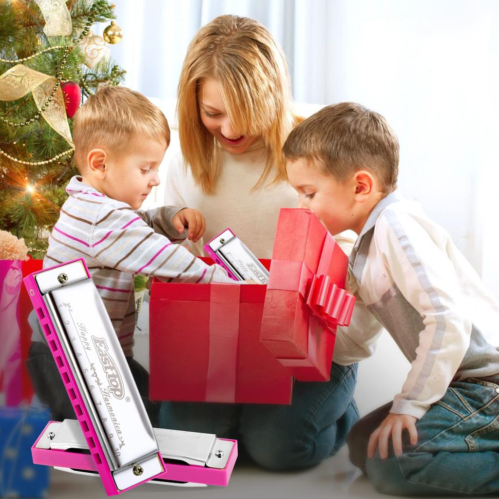 East Top Blues C 10 20 Cleaning Highly Suitable for and as a Gift for Learning and Practice Harmonica, Beginner's Key, Holes, Tones, Cloth, Airtight,