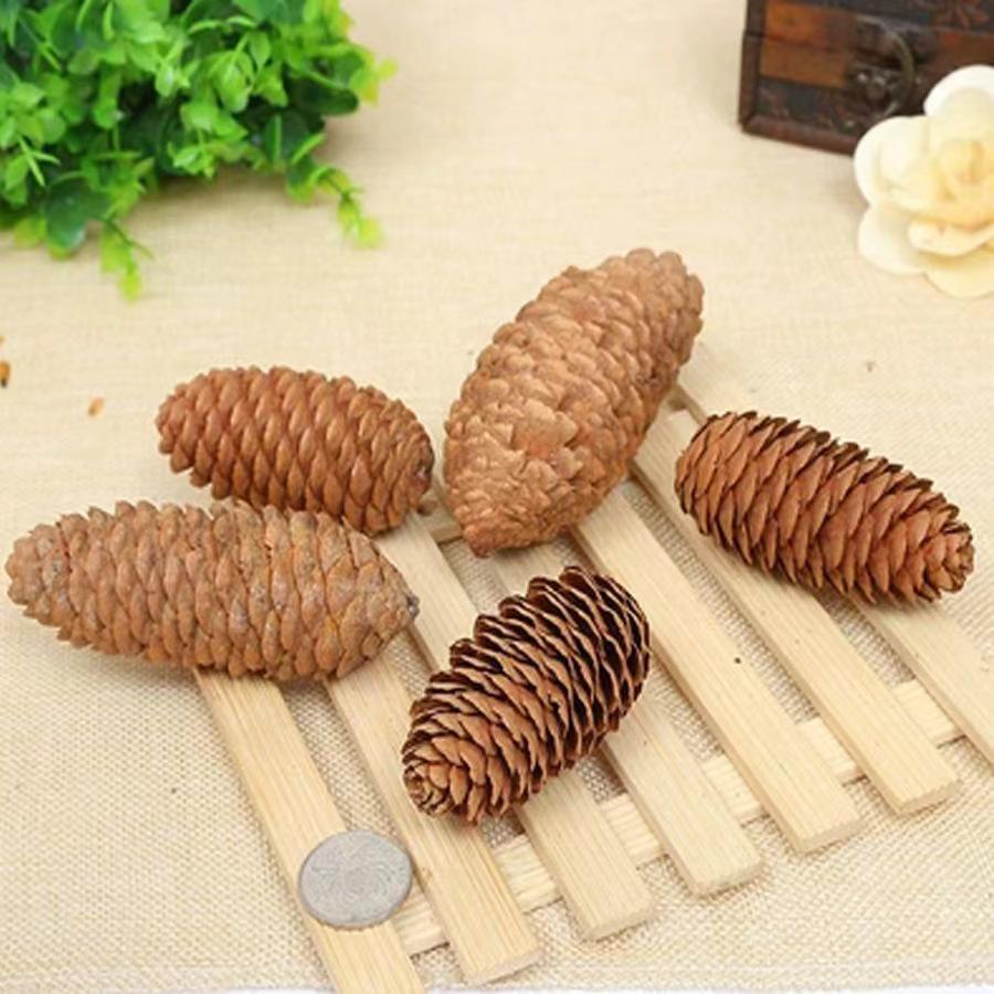 Christmas Pine Cones & Dried Flowers Pack - Eucalyptus, Pine Wood, Cotton, Handmade Photography Props