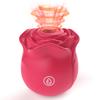 Powerful Vagina Sucking Vibrator Rose Toy for Women with Sucking Vibrating 20Modes Anal Sex Toy Clitoral GSpot Nipple Vibrator