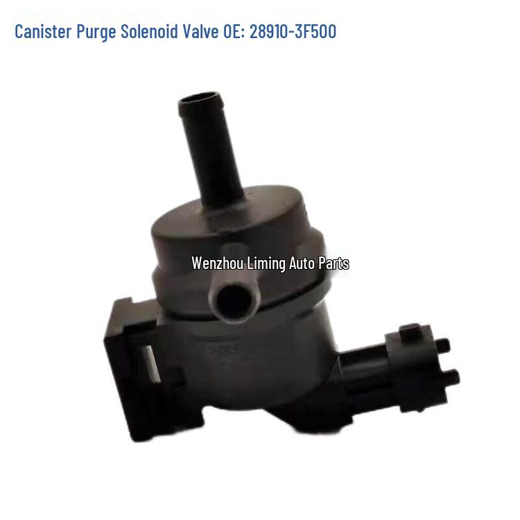 Carbon Canister Control Solenoid Valve for Hyundai/Kia (29010-02150 28910-3F500)
