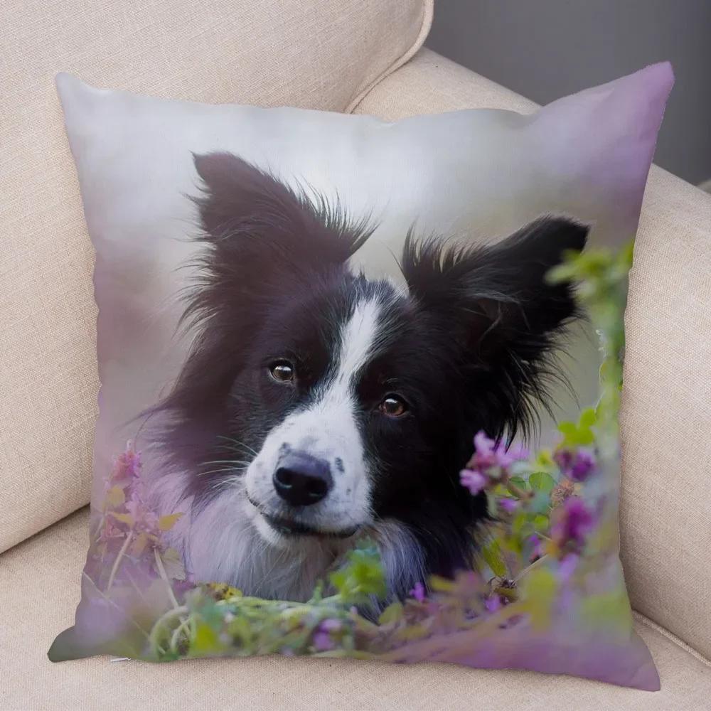 Cute Pet Animal  Cushion Cover Scotland Border Collie Pillowcase for Sofa Car Decor Dog Printed Soft Plush Pillow Case