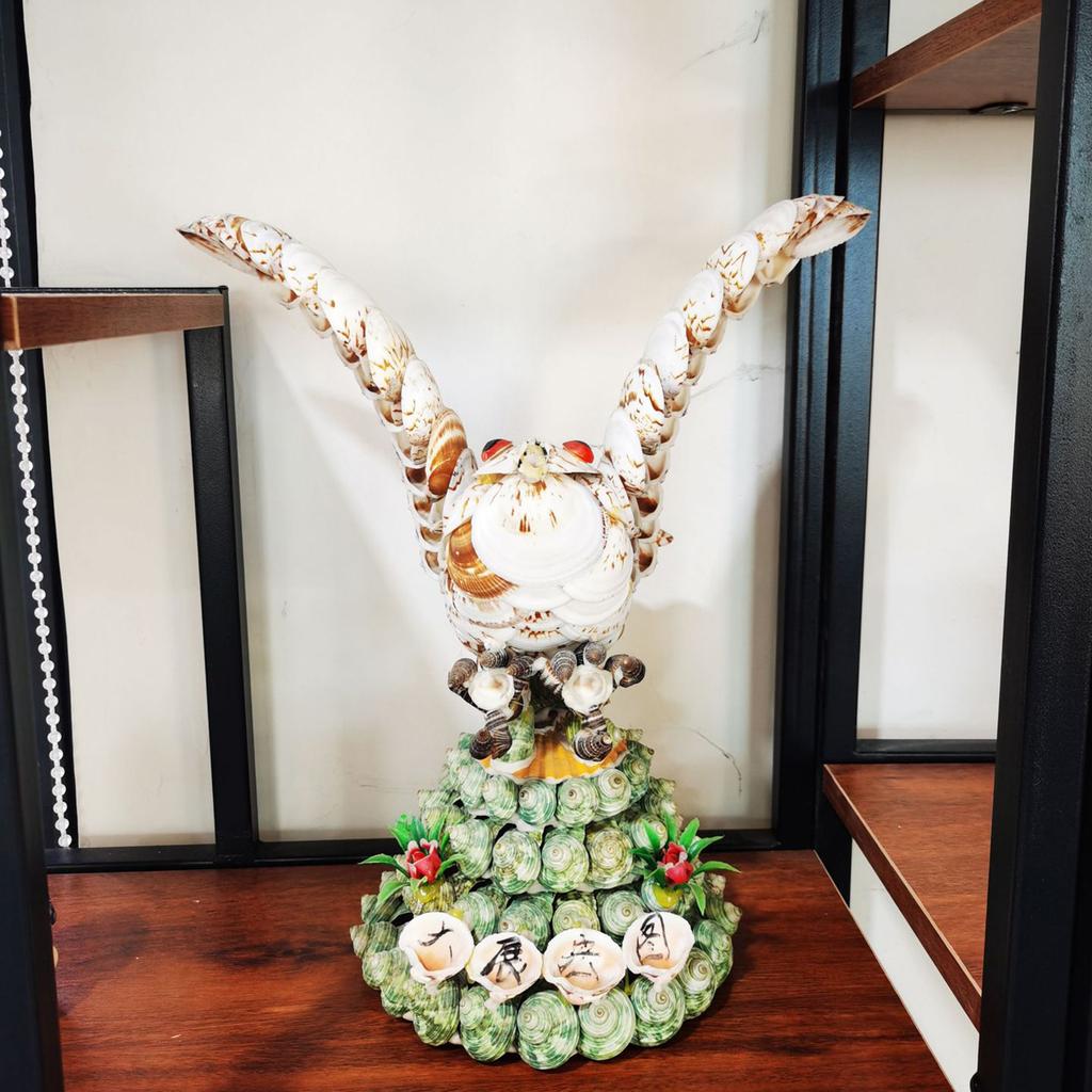 10pcs DIY White Seashells Perfectly For Handcrafting And Painting Activities For Kids And Adults House Decoration