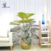 Artificial Bonsai Tree with Large Green Leaves, Potted for Home or Hotel Living Room Decor