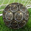 Cockroach Symbols Round Football Size 5 Adult Ball Suitable for Training Matches and Outdoor Team.
