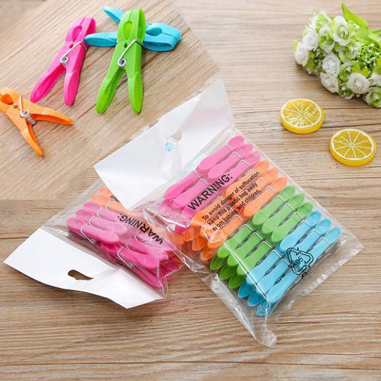 Windproof Plastic Clothes Pegs - 24 Pack Laundry & Travel Clips