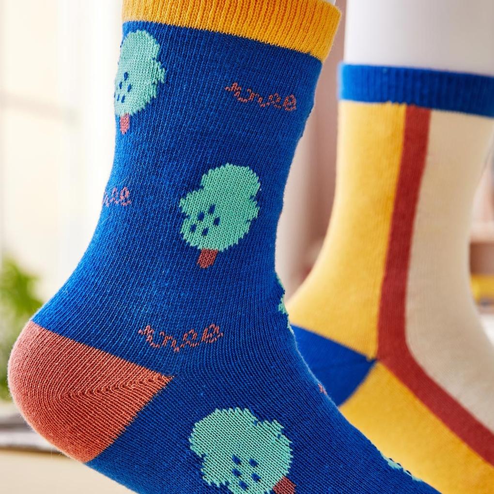 Tree Lettering Socks Set of 2 (Navy) (Ages 4-7)_CZ8124015