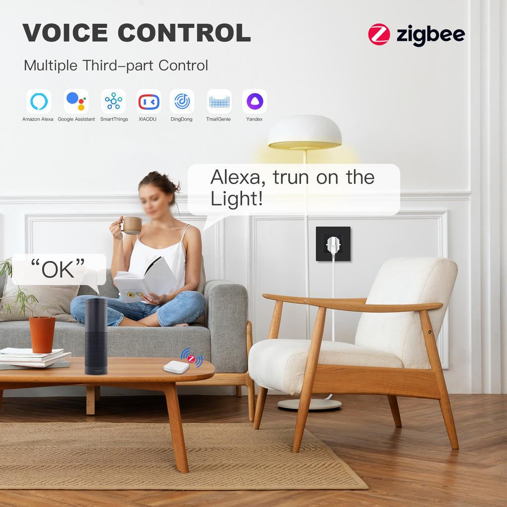 BSEED Zigbee Wall EU Socket Tuya Smart Socket With 20W Type-c USB Power Charging Ports Plastic Matte Frame 1/2/3/4/5/6 Packs