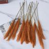 10 pieces of simulated plants DIY wedding home decoration artificial flowers simulated Pas reeds