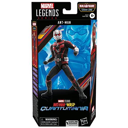 Hasbro Marvel Legends Series Ant-Man, Ant-Man and the Wasp: Quantumania 6-inch (15cm) Action Figure, Ages 4 and Up, F6573, Authentic