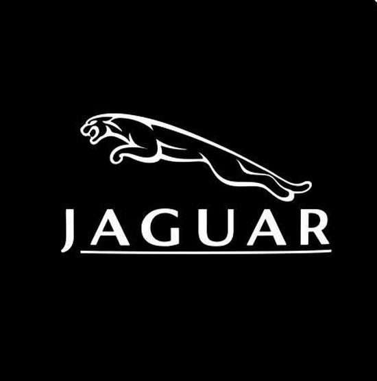 Jaguar XJL XEL XFL F-TYPE F-PACE 2021-2022 Welcome Door Light Projection