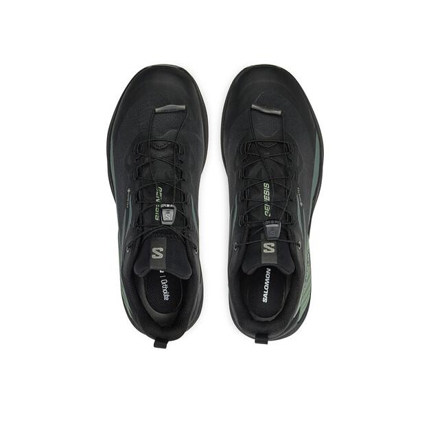 Кроссовки для бега Salomon Genesis Gore-Tex