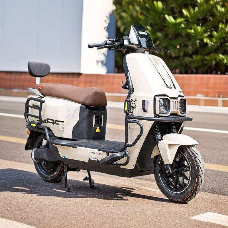 Tailg Chitu EB 2025 Electric Bike Rear Cargo Rack & Anti-Fall Bumper