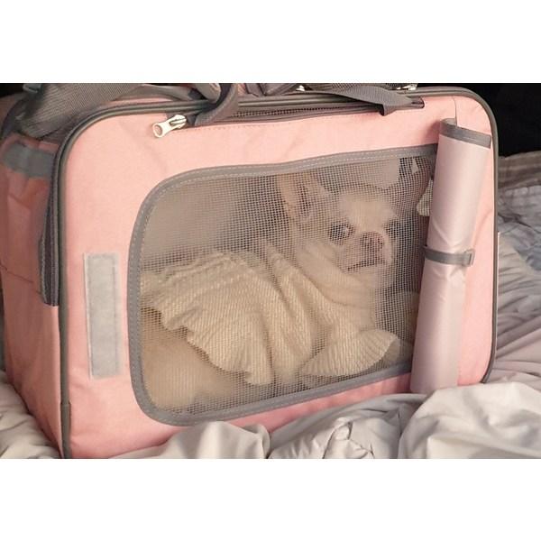 3in1 Pet Carrying Bag, Korean Pet Shampoo