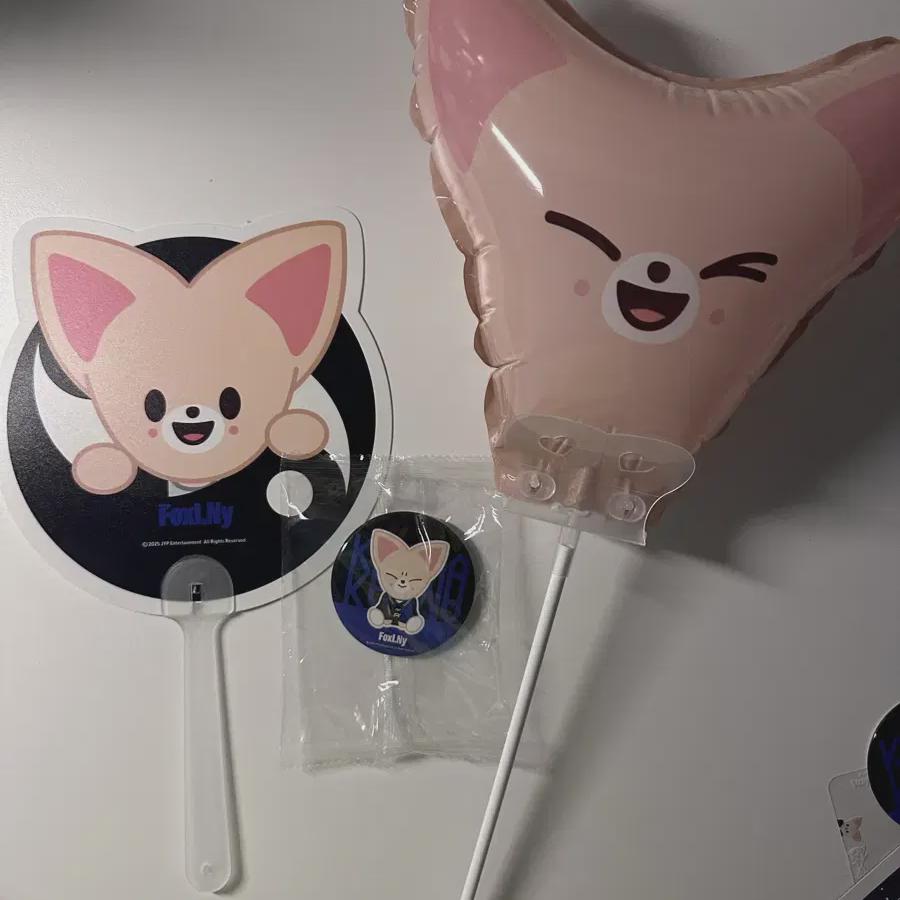 Straykids Karma Popup Store Foxiny 3 Piece Set