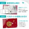 Aideaz Clear Passport and Easy Access for International Travel 1 Case, Waterproof, Stain-Resistant, Lightweight, Slim, (Clear, Count)