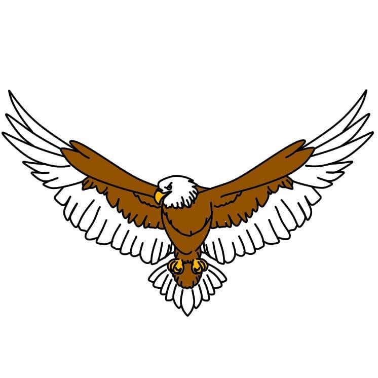 Eagle Muay Thai Kickboxing Boxing MMA UFC Casual Shorts Gym Sport Unisex Men Women Workout Quick Dry Print Elastic High Waist Training