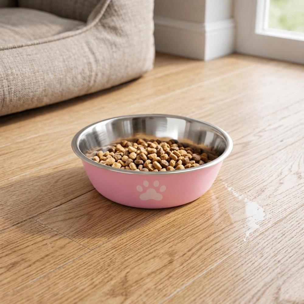 Metal Dog Bowl Silicone Non Slip Pet Feeder Daily Pet Care Pet Bowl  Pet Water Drinking