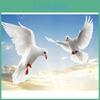 Diy Drill 5d Diamond Round Painting Dove Bird 5d Diamond Embroidery Cross Stitch Wedding Decoration