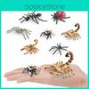 Realistische Insekten Spinnen Skorpione Ameisen Tierfiguren Für Kinder Pädagogisches Spiel PVC Dekoration Pädagogisches Geschenk