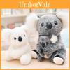Adoráveis Brinquedos de Pelúcia de Urso Coala Apresentando Bonecas de Pelúcia de Mãe e Bebê Sentados