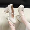 White high heels women's 2025 new spring temperament French single shoes versatile thick heel small leather shoes Mary Jane women's shoes
