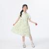 Little Yinman Girls' New Chinese Style Embroidered Dress
