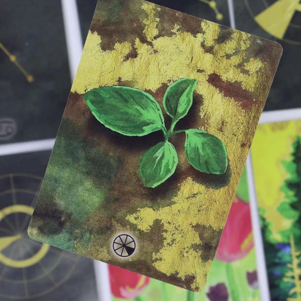 9*6cm Die Leben Rad Astrologie Karten 55 Pcs Oracle Karten