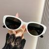 Women Fashion Cat Eye Sunglasses Retro Sun Glasses UV400 Protective Eyewear Trendy Outdoor Travel Eyeglasses Oculos De Sol