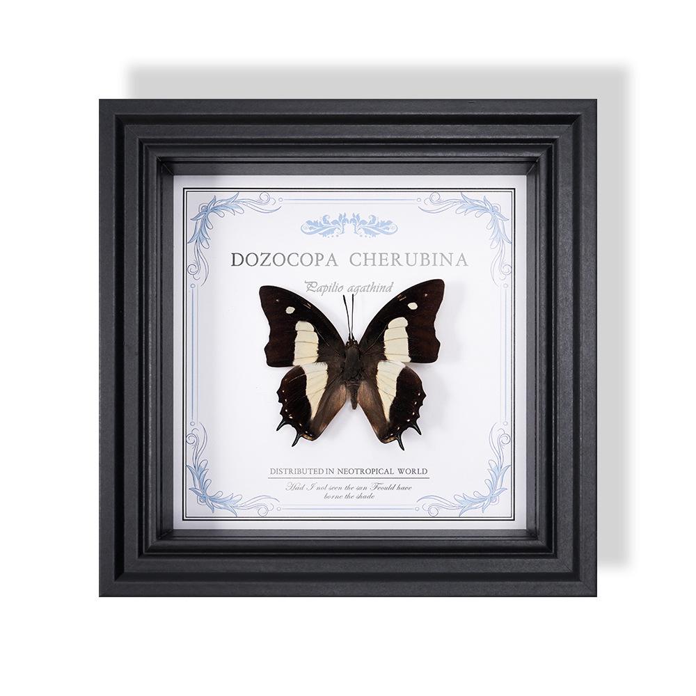 Wall-Mounted Butterfly Specimen Photo Frame: Home Decor & Gift for Valentine's Day, Qixi, Birthday, Couples & Insect Lovers