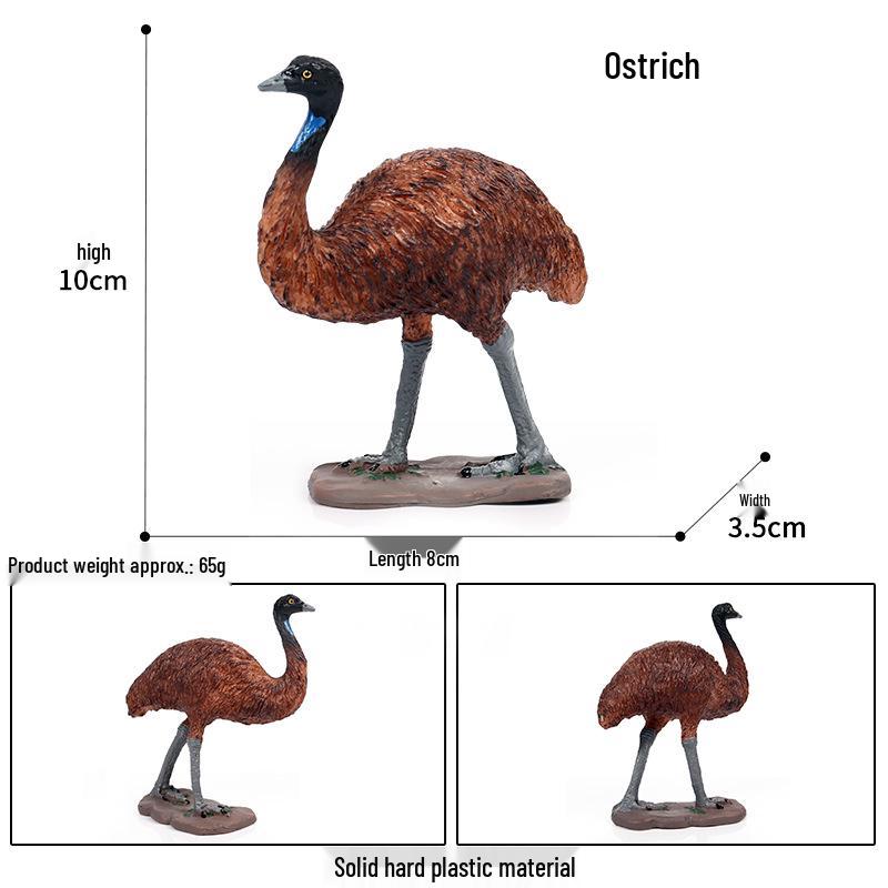 Realistic African Ostrich Simulation Model Toy for Children s Cognitive Development