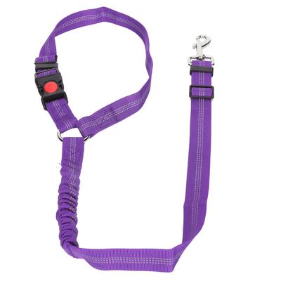 Köpek – Köpek Tasmaları ve Tasma Kayışları