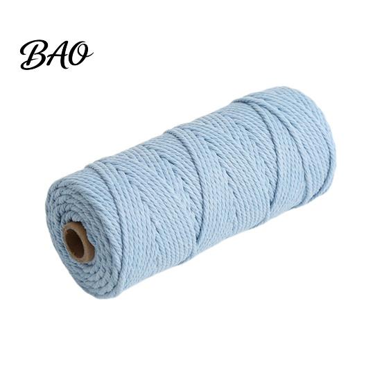 Corda Morbida in Cotone per Arte dell'Intreccio Corda da 3 mm, 100 Metri Corda Colorata Resistente Intrecciata per Artigianato Crochet Lavorazione Arazzi, Intreccio a Mano, Artigianato Fai da Te Gioielli