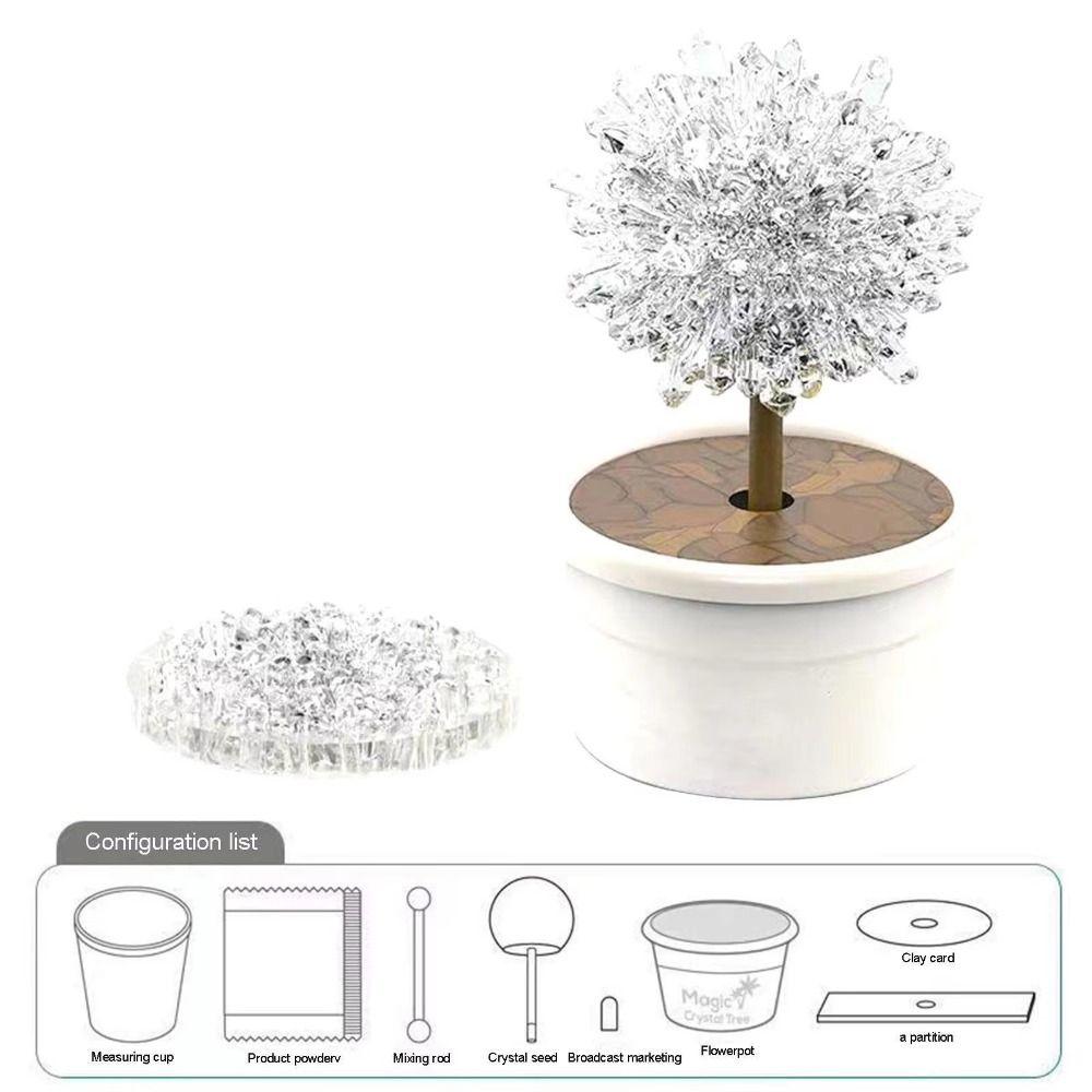 Grow a Crystal Crystal Trees Growing Kit Colored Crystals Crystal Making Kit  Kids