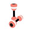 Adjustable EVA Water Sports Dumbbells for Women & Kids - Colorful Home Fitness Equipment