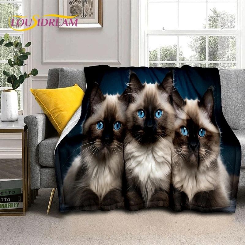 Persian Cat,Cute Calico Cat,Ragdoll Cartoon Soft Flannel Blanket for Beds Bedroom Sofa Picnic,Throw Blanket for Outdoors Leisure