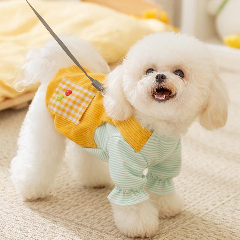 The New Pocket Strap Can Lead Two-legged Clothes Than the Bear Teddy Puppy Dog Clothes Into Kitten Warm Pet Clothing