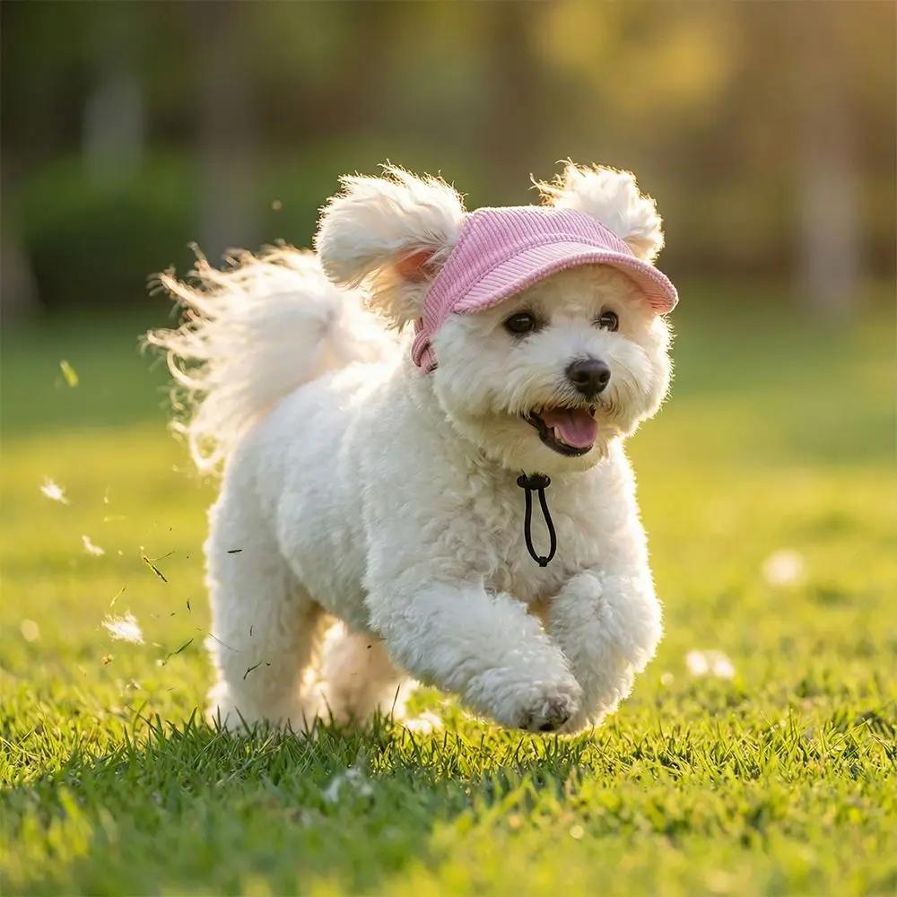 Multi-color Corduroy Pet Sun Hats Breathable Adjustable Dog Baseball Cap Soft Comfortable Cat Headwear For Small Pets
