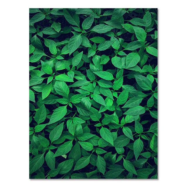 

Животное Леопард Слон Холст Настенный Принт Джунгли Монстера Растение Листья Художественная Живопись Тукан Плакат Современное Украшение Дома Фотографии 21cm×30cm NoFrame