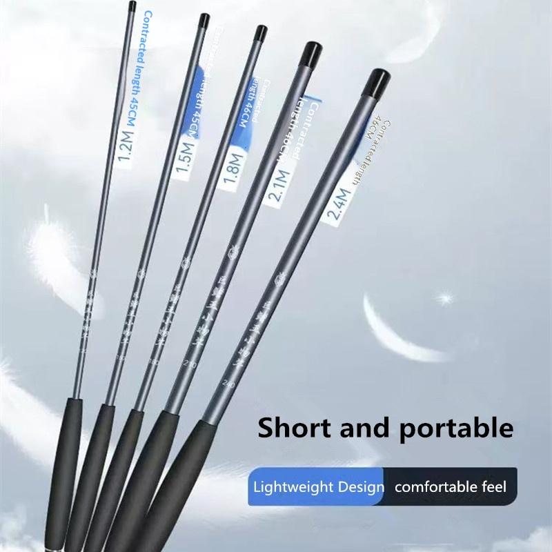 Canna da Pesca Piccola Sezione Corta Canna da Pesca Portatile Set Canna da Pesca per Principianti Canna da Torrente Canna da Pesca Invernale per Gamberetti