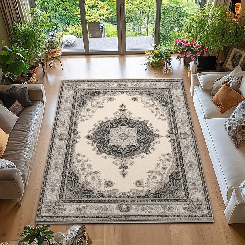 

RAKKS Velvet Area Rug - Soft Shed-Free, Non-Slip Durable Low Profile Modern Living Room Carpet,Premium Home Decor Carpet 40x60cm