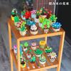 Non-Toxic Blind Boxes Toys Building Block Flower Succulents Plant Diy Children Assemble Mini Brick Blocks Toys For Children Kids Gifts