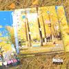 Autumn A4 Hard Shell Binder Photo Album for Postcards, Polaroids & Photocards, Refillable Scrapbook for K-pop Fan Collectibles