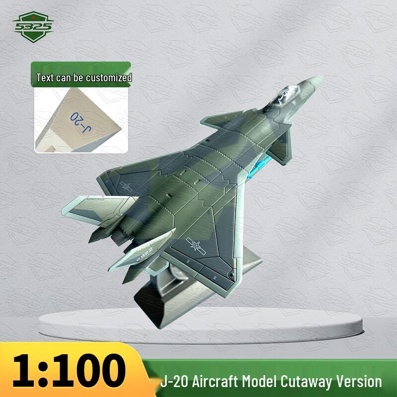J-20 Fighter Jet Scale Model Collectible
