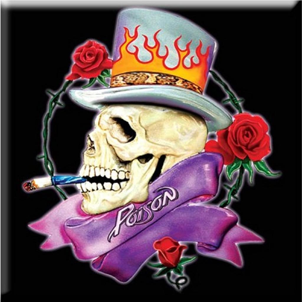 Poison Skull Fridge Magnet