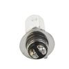 H6 T19 P15D Headlight Bulbs High Quality Super White