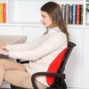 Miling Ergonomic Lumbar Support Cushion