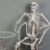 Halloween Skelett Ornament 65 Zoll Ganzkörper Bewegliche Gelenke Skelette Lebensechtes Modell für